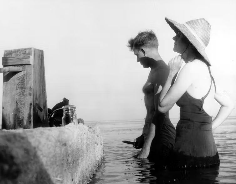 Rachel Carson, precursora del movimiento ecologista contemporáneo