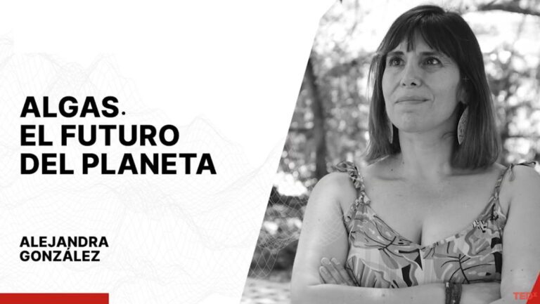 Algas, el futuro del planeta